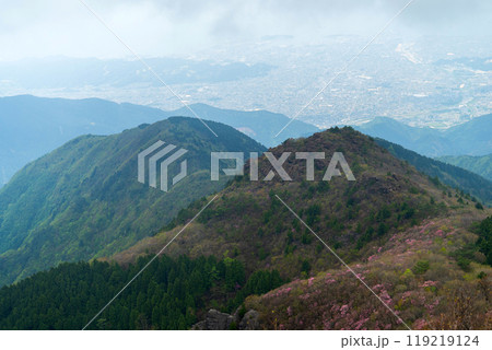 東赤石山から新居浜を望む 119219124