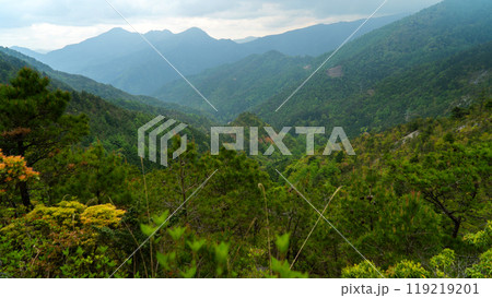 東赤石山　 石鎚山地 119219201