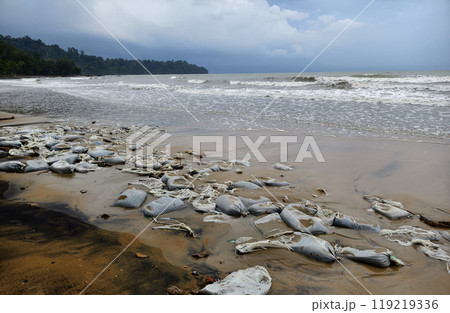 Trash scattered all over the beach close to the ocean Trash scattered all over the beach close to the ocean 119219336