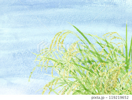水彩で描いた青い空と黄金色に実った稲のイラスト【手描き】コピースペースあり 119219652