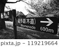 道案内をモノクロで 119219664