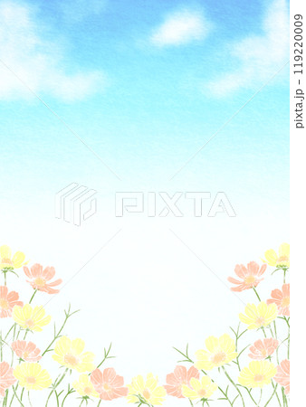 黄色いコスモスの青空背景 119220009