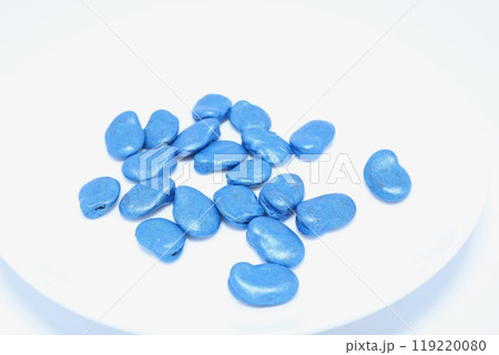 そら豆のタネ 119220080