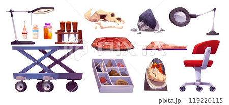 Fossil lab and paleontology cabinet elements. 119220115