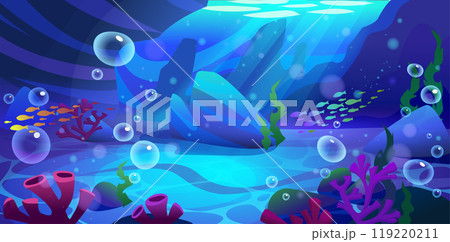 Seabed with corals and weeds, stones and bubbles. Seabed with corals and weeds, stones and bubbles. 119220211