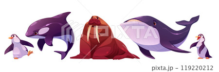 North pole land and sea animals. 119220212