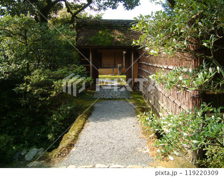 The bamboo fence in japanese garden / 日本庭園の竹垣(生垣) 119220309