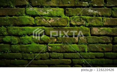 《AI画像》苔の生えたレンガの壁 119220426