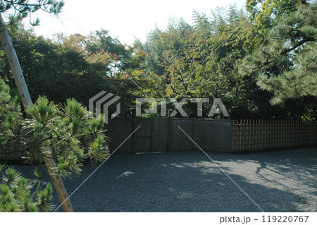 The bamboo fence in japanese garden / 日本庭園の竹垣(生垣) 119220767