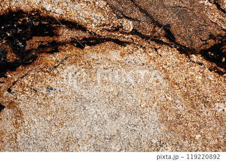 Natural Sedna Gold - granite background, stylish texture as part of your modern interior look. 119220892