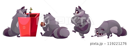 Cute racoon character set. Funny raccoon cartoon Cute racoon character set. Funny raccoon cartoon 119221276