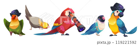Cute funny parrot characters wild birds and pirate 119221592