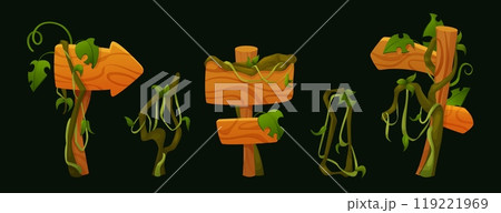 Wooden signboards with creeping liana vines 119221969