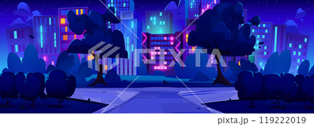 Summer city park at night 119222019