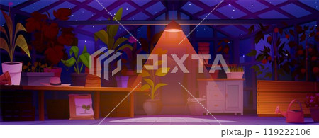 Flower pot in greenhouse garden interior at night 119222106