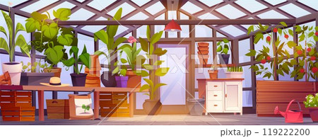 Greenhouse garden interior with plants in pots Greenhouse garden interior with plants in pots 119222200