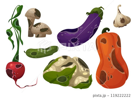 Rotten food with rot and mold. Rotten food with rot and mold. 119222222