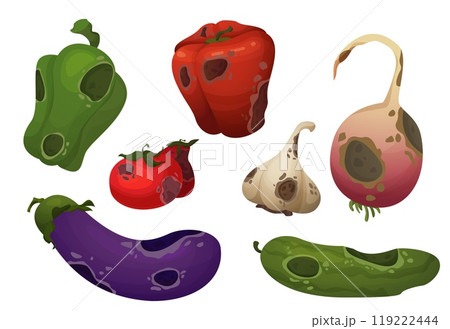 Rotten danger vegetables with rot and mold. Rotten danger vegetables with rot and mold. 119222444