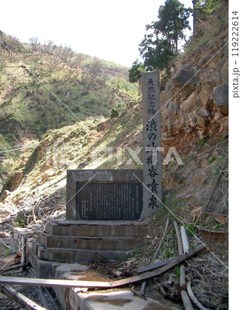 長野県の渋の池地獄谷噴泉(標柱と説明板) 長野県の渋の池地獄谷噴泉(標柱と説明板) 119222614