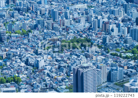 東京都市部の住宅密集地を俯瞰イメージ(墨田・台東・荒川方面) 東京都市部の住宅密集地を俯瞰イメージ(墨田・台東・荒川方面) 119222743