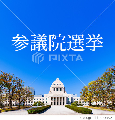 国会議事堂 【 日本 の 国会 と 選挙 と 裏金 イメージ 】*被写体の敷地外である公道から撮影 国会議事堂 【 日本 の 国会 と 選挙 と 裏金 イメージ 】*被写体の敷地外である公道から撮影 119223592