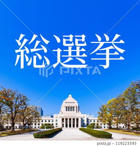 国会議事堂 【 日本 の 国会 と 選挙 と 裏金 イメージ 】*被写体の敷地外である公道から撮影 国会議事堂 【 日本 の 国会 と 選挙 と 裏金 イメージ 】*被写体の敷地外である公道から撮影 119223593