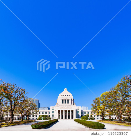 国会議事堂 【 日本 の 国会 と 選挙 と 裏金 イメージ 】*被写体の敷地外である公道から撮影 国会議事堂 【 日本 の 国会 と 選挙 と 裏金 イメージ 】*被写体の敷地外である公道から撮影 119223597