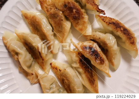 手作り焼き餃子 手作り焼き餃子 119224029