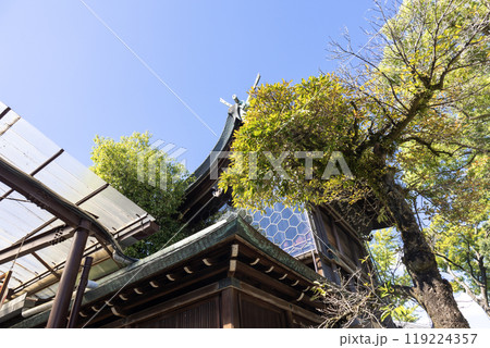 石切剣箭神社 本殿奥（2024年9月撮影） 119224357