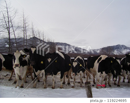 北海道日高の牧場4 119224695