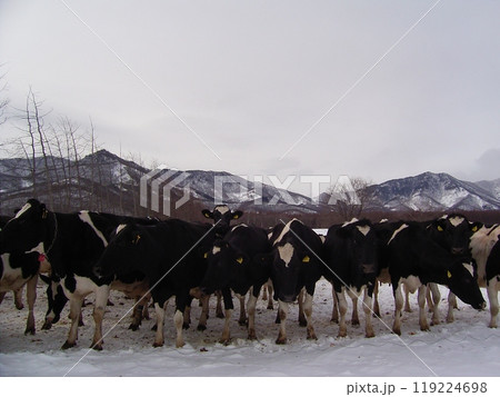 北海道日高の牧場7 北海道日高の牧場7 119224698