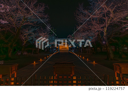 夜桜詣(靖国神社) 夜桜詣(靖国神社) 119224757