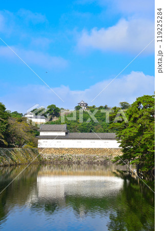 彦根城 119225284