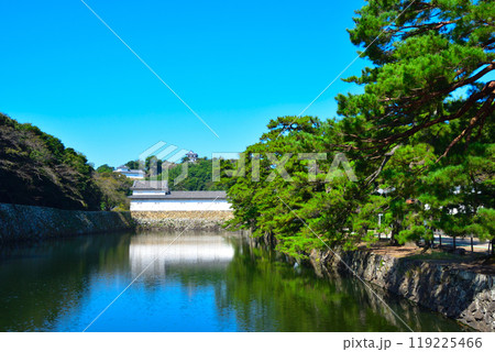 彦根城 彦根城 119225466
