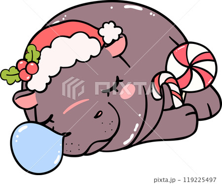 Christmas baby pygmy hippo sata hat sleeping 119225497