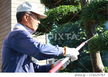 庭木の剪定をするシニア男性 119225767