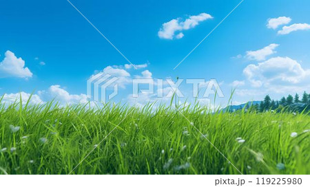 真夏の草原と青空 119225980