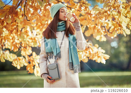 Portrait of a beautiful woman walking in the autumn park 119226010