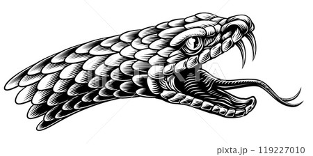 Snake Head Woodcut Vintage Etched Woodcut Style 119227010
