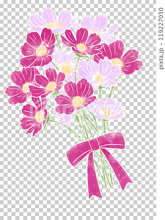 Pink cute cosmos bouquet Pink cute cosmos bouquet 119227050