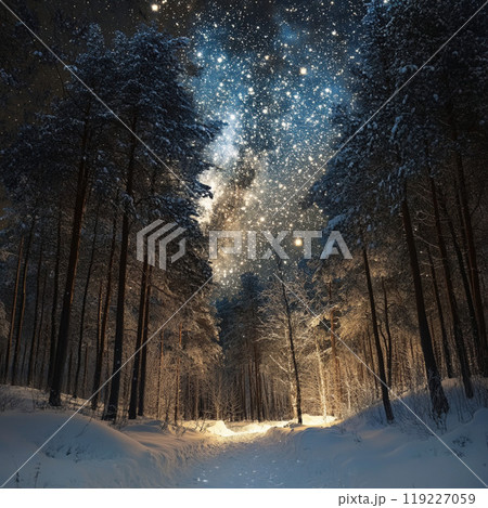 星明りに照らされながら木々の間の星を見る 星明りに照らされながら木々の間の星を見る 119227059