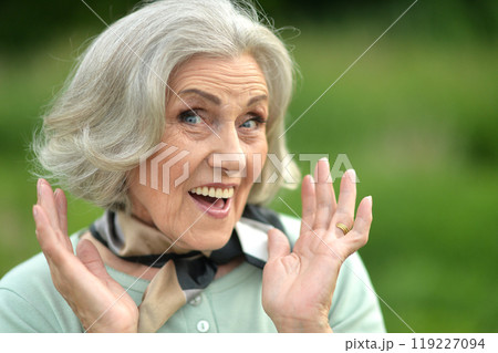 Portrait of a beautiful woman in the park in summer Portrait of a beautiful woman in the park in summer 119227094