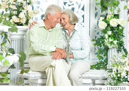 Elderly couple sitting at the country house 119227103