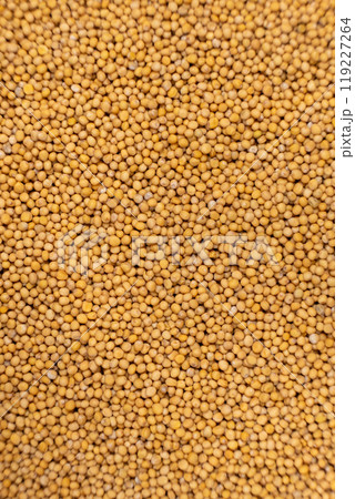Yellow Dry Mustard Seed Background, Natural Organic Seasoning, Top View. Yellow Dry Mustard Seed Background, Natural Organic Seasoning, Top View. 119227264