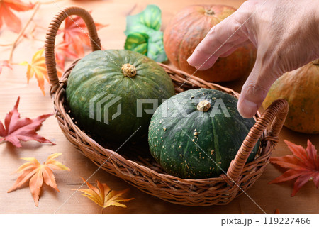 かぼちゃ 119227466