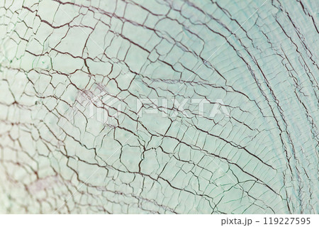 Cracked dry mud mask on skin, texture 119227595