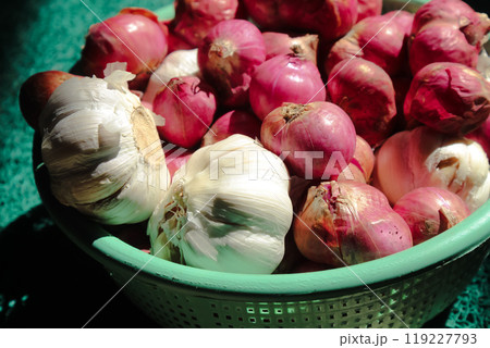 Shallots and garlic in a green container in the sun Shallots and garlic in a green container in the sun 119227793