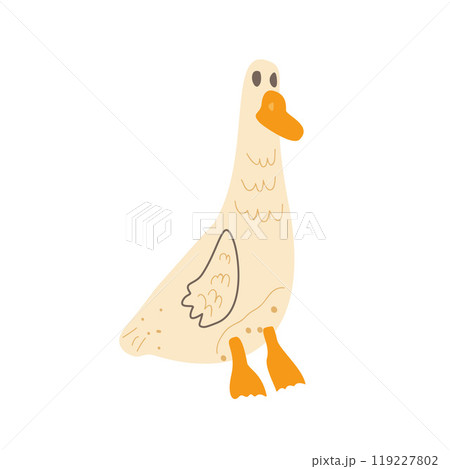 Vector goose isolated on white background. Hand drawn domestic bird character. 119227802