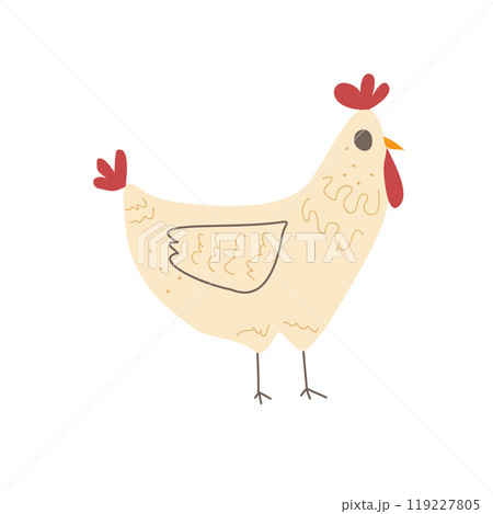 Chicken isolated on white background. Poultry hen character. Vector hand drawn illustration 119227805