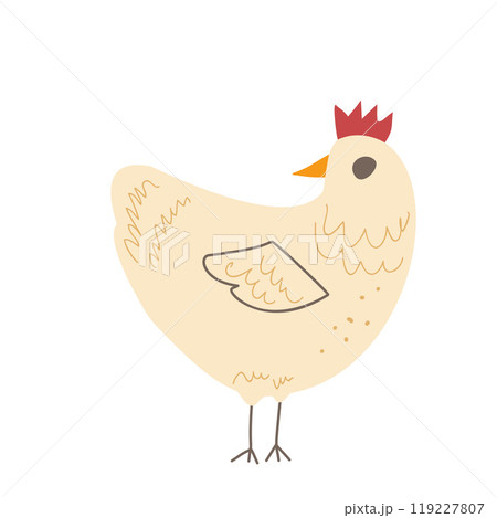 Chicken isolated on white background. Poultry hen character. Vector hand drawn illustration 119227807